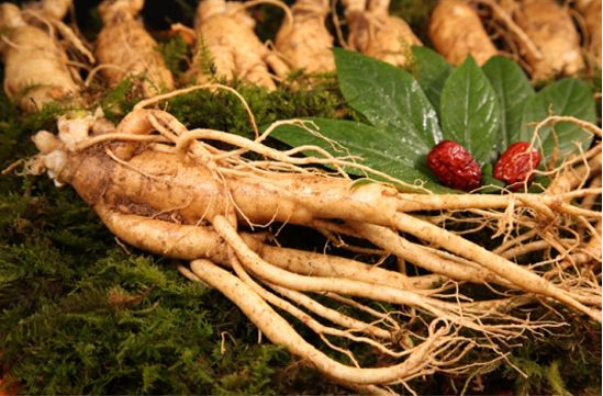 bi-quyet-lam-dep-tu-ngoi-sao-tri-nam-duong-trang-da-tu-nhan-sam-co-dac-sulwhasoo-concentrated-ginseng-tina-horizon