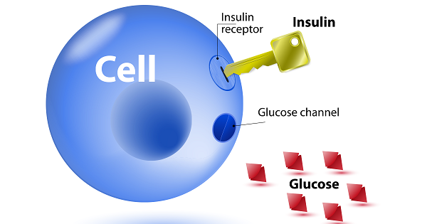cai-thien-tinh-trang-khang-insulin