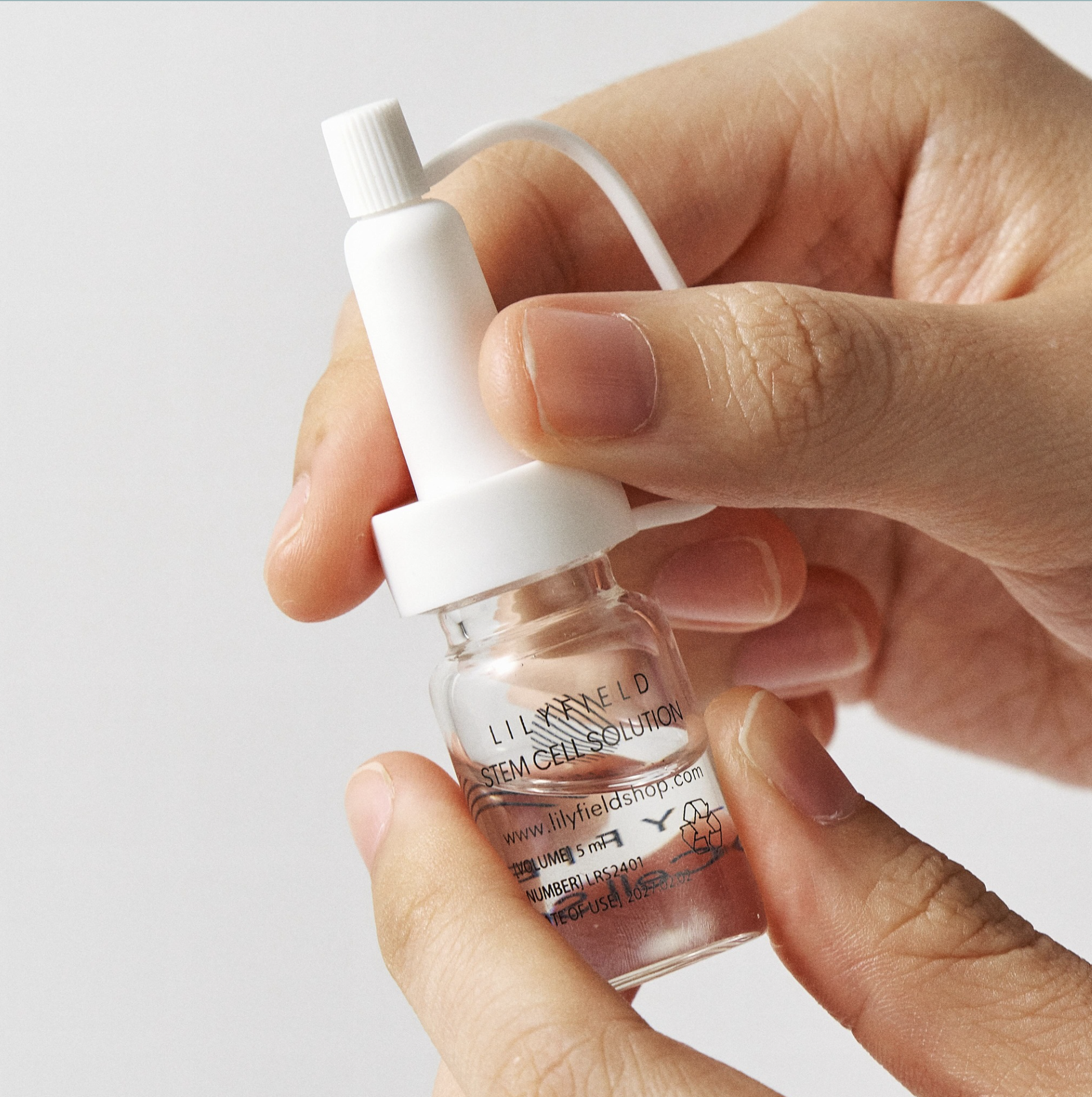 lilyfield-stem-cell-solution